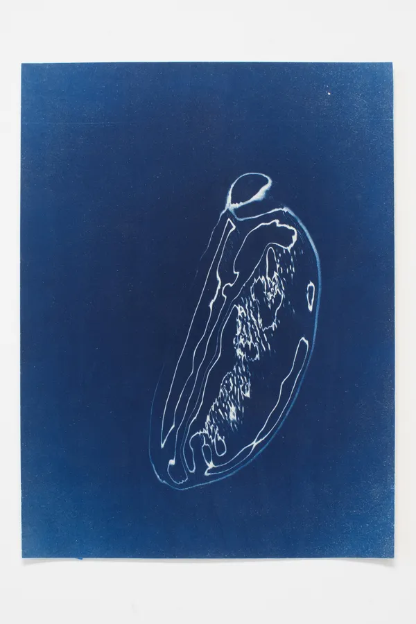 Khazar Archeological Confabulations