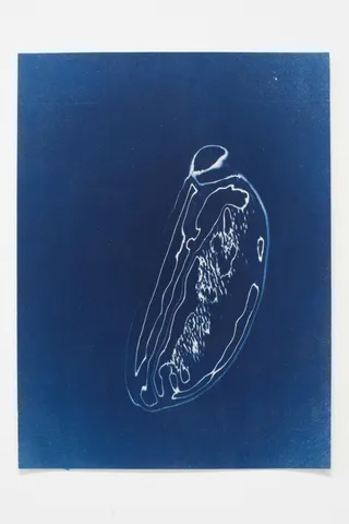 Khazar Archeological Confabulations