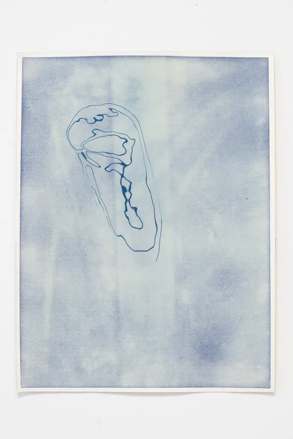 Khazar Archeological Confabulations