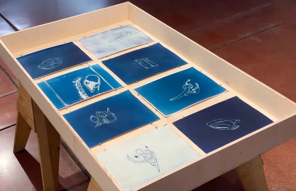 Khazar Archeological Confabulations